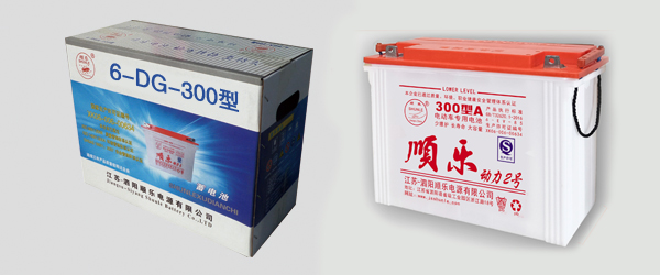 管狀電動三輪車專用300